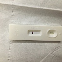 排卵第十五天，总感觉能看见一条，快魔症了……