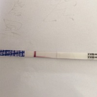 有没有从5月开始备孕的宝妈呢？我末次月经5月3号，到现在大姨妈还没有来，测了又测，都是白板，有一样情...