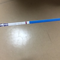 末次月经5.14号，今天就是突然想测下，结果就显示了2条杠，然后我又去测了下就看不到了，我听说排卵试纸...
