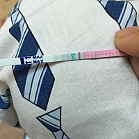用测排卵试什么样是怀孕，5.10末次月经，求告知