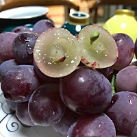 排卵期已到，小蝌蚪快来吧🧐🤩