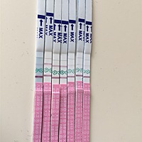 请问这是已经排卵了吗？但是也不是特别强阳啊，最后一次月经是25号来的，31结束的，按这个app的排卵日应...