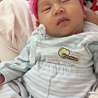 我现在感觉 怀孕和生孩子都不是最疼苦的 喂奶才是最折磨人 母乳喂养 人家是奶不够愁 我是奶太好了 经常...