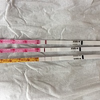 粉色的是ZZY，今天早上测有两条，中午肚子痛居然来大姨妈了，第一条是中午测的，消失了！！！什么情况