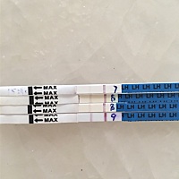 亲们，这算是强阳吗？今晚可以同房吗？