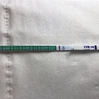 出现意念灰了，大姨妈还有三天报道，你们能看见吗？上次姨妈是5.13号