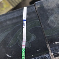 6月8号测的，是不是怀孕了，在这之前我家有只金毛，疫苗打完了，然后每年打预防的也打了，基本三个月就...