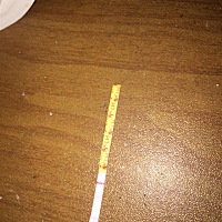 八号和九号检测的排卵！愿这月可以好运！🙏🏻