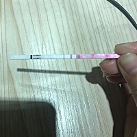 上个月5.10来的月经，今天一测就是这样，是怀孕了吗？