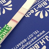 这个是不是怀孕了