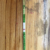 这样是不是就是怀孕了。昨天晚上和今早都测过 都只有一点点印子 月经推迟三天了。