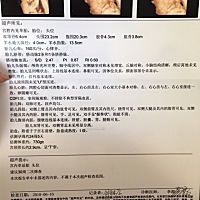 请问圈里的朋友们能看出男女么