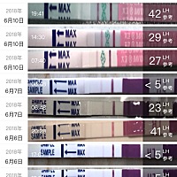 29号左右排卵，zzy大白板，还有三天姨妈日就要来了，排卵试纸检测有机会怀上吗，附图，5.28后开始慢慢的...