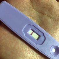 上个月11号来的 以前都是提前两天来 有时会推迟两三天 最近这几个月都是提前四天左右 这个月到现在还没...