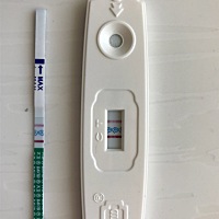 例假推迟三天，这是刚刚测的，是不是显色太浅了，大家觉得这是不是翻倍太慢啊