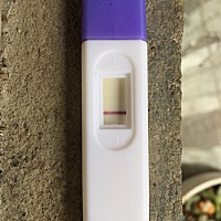 大家帮我看看是不是啊？4月26月经，已经推迟半个月了。