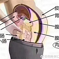 ♻️【减肥小知识】 👉肚子脂肪，越多越容易饿 ★有没有想过，胖子为什么都爱吃呢[疑问] 加拿大一项研...