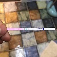 宝妈们，这是否到排卵期了啊