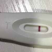 末次5月9号，今天6月12号。大姨妈依旧没来，验孕棒依旧白板。🙄