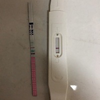 5.18开始上次例假，排卵日5.31，5.28-6.8号隔天同房一次，共五次，下次例假开始还有三天，今早测早孕试...