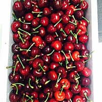 有没有想吃车厘子的，紫红色特别甜孕中吃对孩子也比较好的，感兴趣关注我，坐标大连，樱桃比较出名的，...