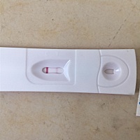 这是怀孕了吗？