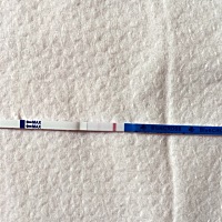 亲们，这是有还是没有