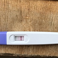 这是怀孕了还是没怀啊