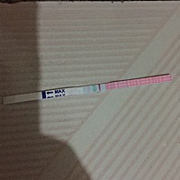 亲们！帮我看看这样的是不是快卵了？谢谢🙏