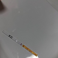 刚刚换金秀儿试了一下.好像有印