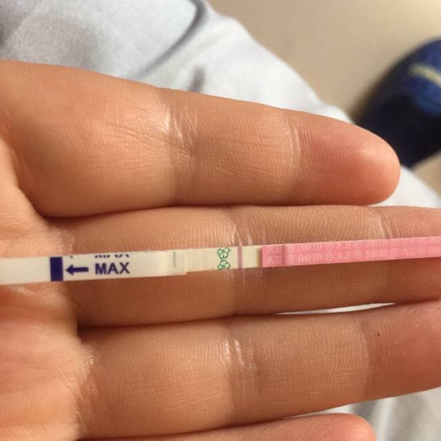 图1是之前测排卵