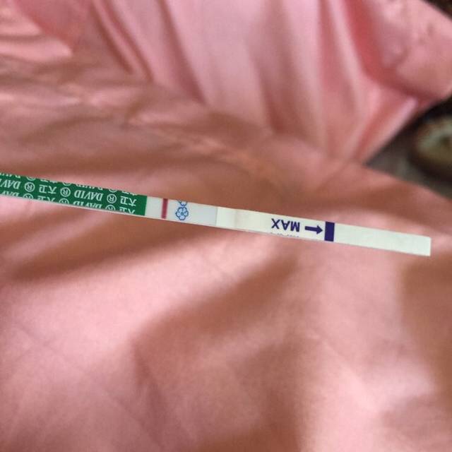 今天测的怀孕试纸