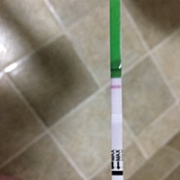 哪位过来人帮忙看看、6月1号月经、今天早上测排卵、依然是一条杠子、是怎么回事