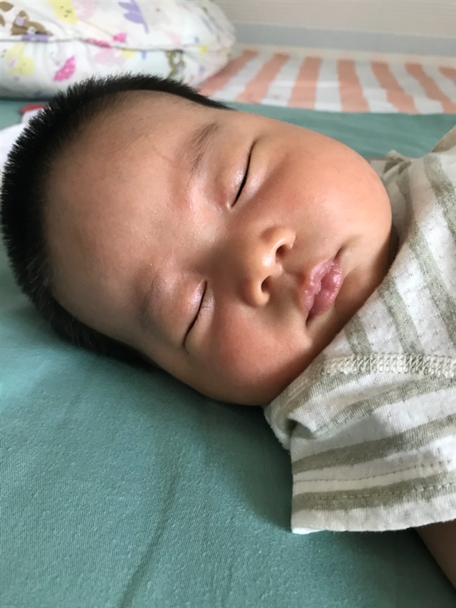 酣睡的棠棠