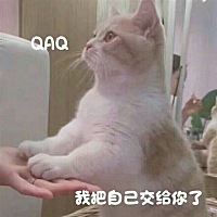 请问备孕期间可以打静丙吗？我姥姥一直要我打！说要先增强免疫力抵抗力！！