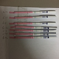 姐妹们，测的排卵，帮忙看一下，最下面一个是今天晚上10点验的，是不是明天就会是强阳了？