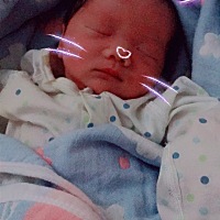 臭柠檬昨天上午出生的，今天抱个喜