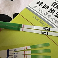 6月1日月经、今天用排卵试纸测、第二条杠微微有点颜色、有白带、是开始排卵了么