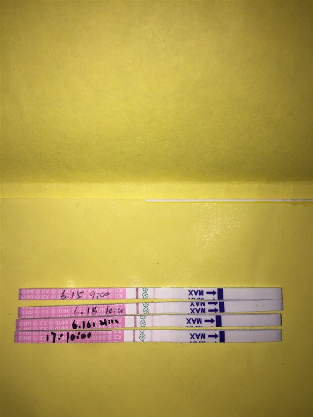 月经算19号排卵，不知大卫准不准