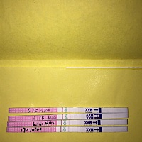 阴历五月怀孕生男孩的多还是女孩多