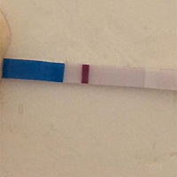 同房12天这zzy试纸早中晚都试了就是模模糊糊！这是怀还是没怀呀