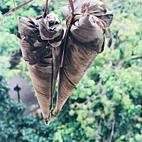 端午节快乐，安康！白碱水粽子自己包的，肉粽子朋友送的大家喜欢吃哪种