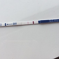 亲这样是怀孕吗.28天了