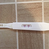 这是怀孕了嘛？