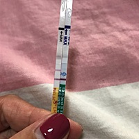 有没有6月12日排卵，今天早孕测出有中队长的！黄色排卵试纸，大卫早孕试纸！