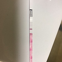 这是怀上了吗？