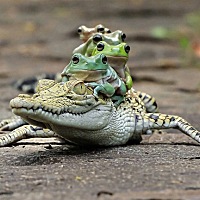 怀孕初期是什么感觉呀。多少天可以发现 b