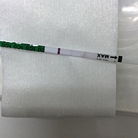 这到底是i什么意思呢？问老公他说是没怀起，那胸怎么那么痛呢？是姨妈要来了吗