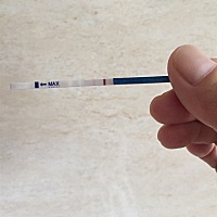 5月24日来例假，6月6日同房，第二条非常非常淡，这是有了，还是没有？