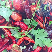 ☺︎看过来看过来😁